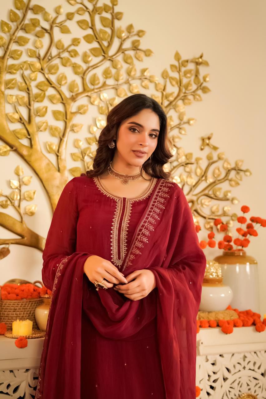 Beautiful glass organza suit set