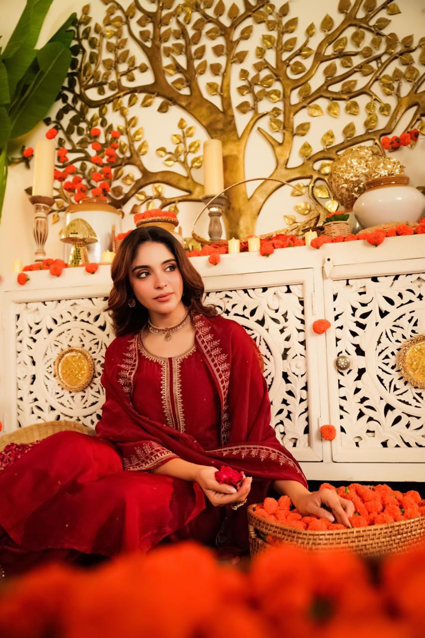 Beautiful glass organza suit set