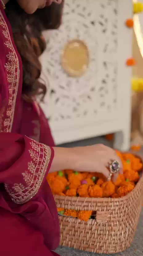 Beautiful glass organza suit set